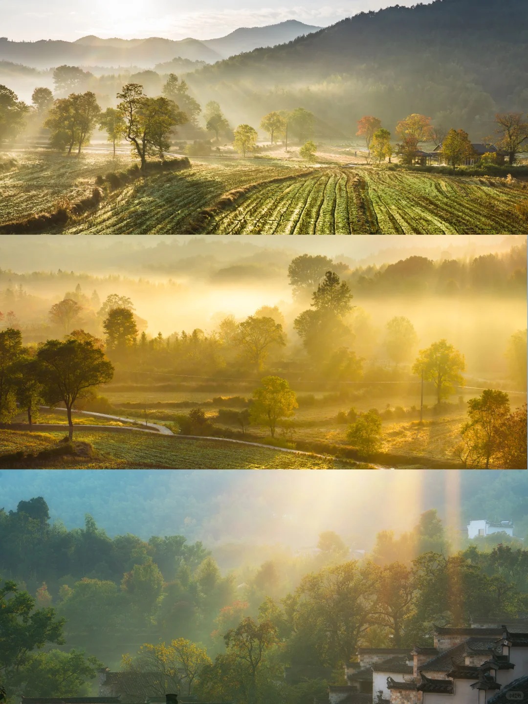 还想去第二次的赏秋圣地——塔川秋色❗️_2_无事有闲_安徽徽州-来自52tours 我爱旅游网